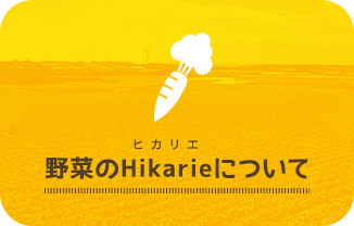 野菜のHikarieについて